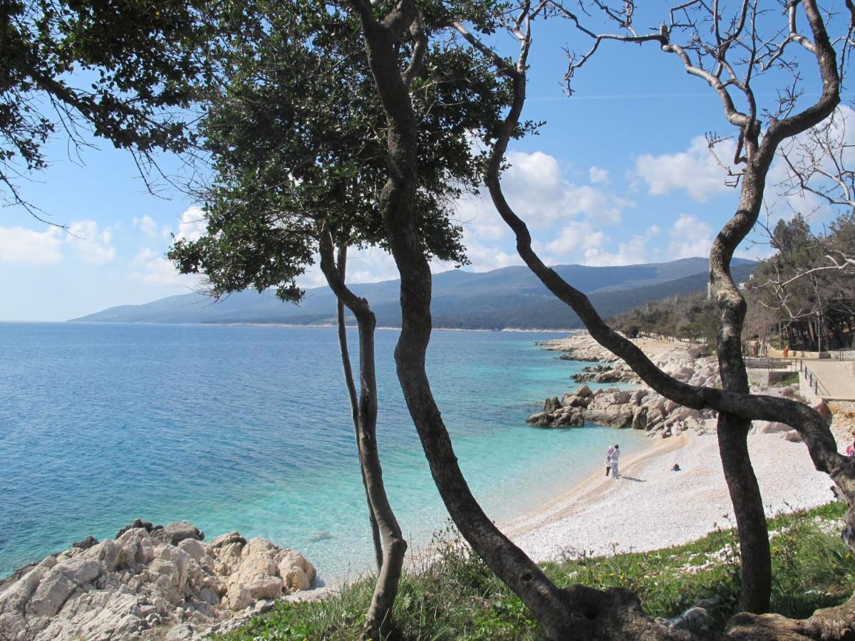 Apartment Orhideja - Rac162 By Interhome Rabac Dış mekan fotoğraf